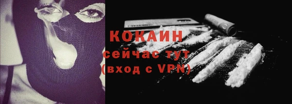 Альфа ПВП Гусь-Хрустальный