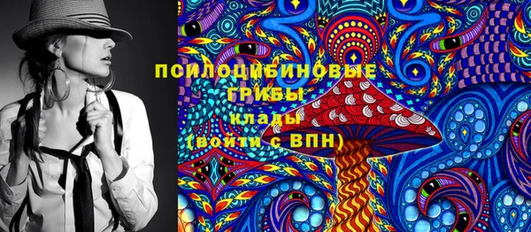 бошки Гусиноозёрск
