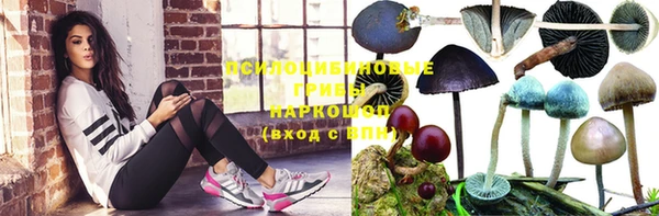 Альфа ПВП Гусь-Хрустальный