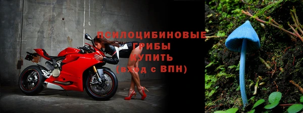 Альфа ПВП Гусь-Хрустальный