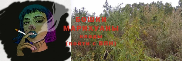бошки Гусиноозёрск