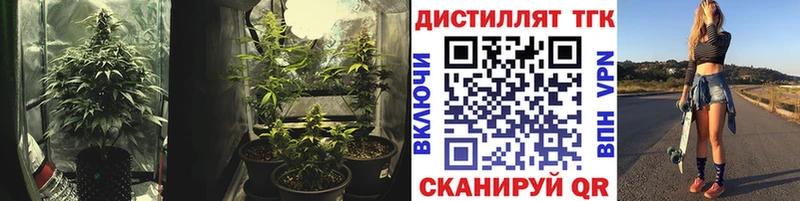 МЕГА онион  Чудово  Дистиллят ТГК гашишное масло 