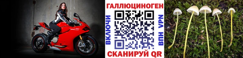 Галлюциногенные грибы мицелий  kraken как зайти  Чудово 