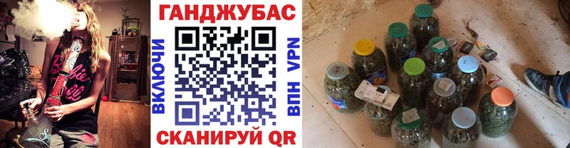 Шишки марихуана план  купить  цена  Чудово 